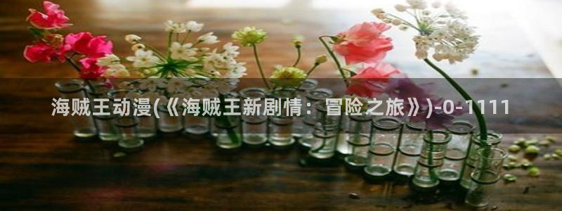 城市猎人动漫:海贼王动漫(《海贼王新剧情:冒险之旅》)